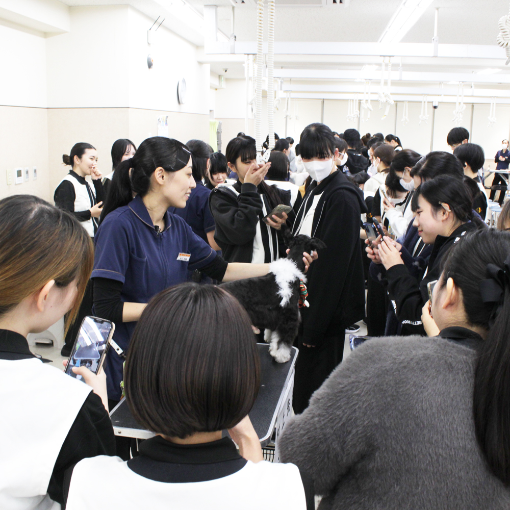 １年生へ、先生の試技会！Part②